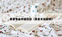 黑客专业术语分析（黑客术语解释）