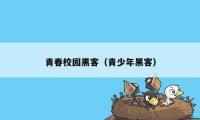 青春校园黑客（青少年黑客）