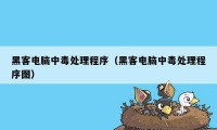 黑客电脑中毒处理程序（黑客电脑中毒处理程序图）