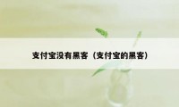 支付宝没有黑客（支付宝的黑客）