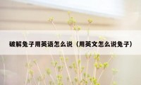 破解兔子用英语怎么说（用英文怎么说兔子）