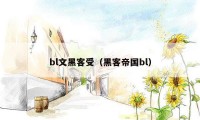 bl文黑客受（黑客帝国bl）