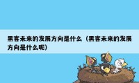 黑客未来的发展方向是什么（黑客未来的发展方向是什么呢）