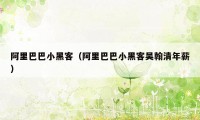 阿里巴巴小黑客（阿里巴巴小黑客吴翰清年薪）