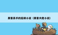 黑客高手的后续小说（黑客大佬小说）