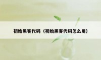 初始黑客代码（初始黑客代码怎么用）