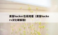 黑客hacker在线观看（黑客hackers汉化破解版）