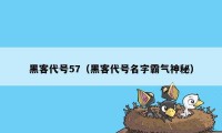 黑客代号57（黑客代号名字霸气神秘）