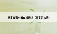 黑客比赛小说在线阅读（黑客的比赛）