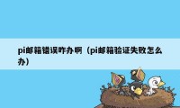 pi邮箱错误咋办啊（pi邮箱验证失败怎么办）