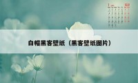 白帽黑客壁纸（黑客壁纸图片）