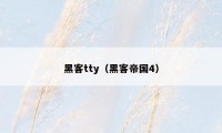 黑客tty（黑客帝国4）