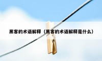 黑客的术语解释（黑客的术语解释是什么）