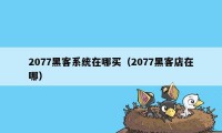 2077黑客系统在哪买（2077黑客店在哪）