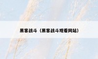 黑客战斗（黑客战斗观看网站）