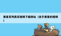 黑客系列真实视频下载网址（关于黑客的视频）