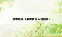 黑客进网（黑客技术入侵网站）