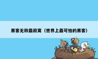 黑客无敌最寂寞（世界上最可怕的黑客）