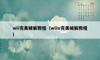 wii完美破解教程（wiiu完美破解教程）