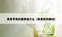 黑客专用的图像是什么（黑客软件图标）