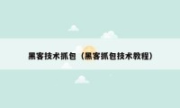 黑客技术抓包（黑客抓包技术教程）