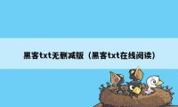 黑客txt无删减版（黑客txt在线阅读）