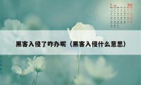 黑客入侵了咋办呢（黑客入侵什么意思）