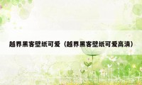 越界黑客壁纸可爱（越界黑客壁纸可爱高清）