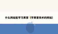 什么网站能学习黑客（学黑客技术的网站）