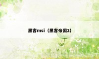 黑客msi（黑客帝国2）