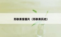 苏联黑客图片（苏联黑历史）