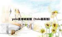 yolo直播破解版（Yolo最新版）