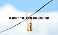 黑客能干几年（现在黑客还能干嘛）