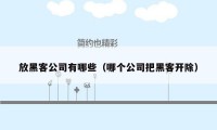 放黑客公司有哪些（哪个公司把黑客开除）