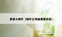 黑客小蜗牛（蜗牛公司被黑客攻击）