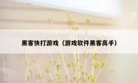 黑客快打游戏（游戏软件黑客高手）