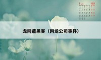 龙网遭黑客（网龙公司事件）