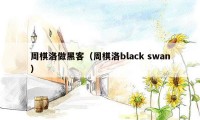 周棋洛做黑客（周棋洛black swan）