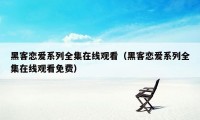 黑客恋爱系列全集在线观看（黑客恋爱系列全集在线观看免费）