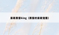 呆萌黑客king（黑客的呆萌宠妻）