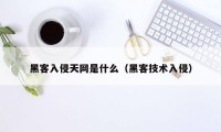 黑客入侵天网是什么（黑客技术入侵）