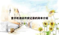 查手机酒店开房记录的简单介绍