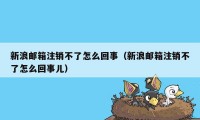 新浪邮箱注销不了怎么回事（新浪邮箱注销不了怎么回事儿）