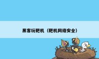 黑客玩靶机（靶机网络安全）