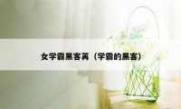 女学霸黑客苒（学霸的黑客）