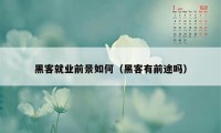 黑客就业前景如何（黑客有前途吗）