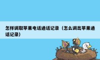 怎样调取苹果电话通话记录（怎么调出苹果通话记录）