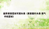 越界黑客壁纸可爱头像（黑客图片头像 霸气 手机壁纸）