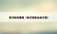 支付机构黑客（支付宝安全执行官）