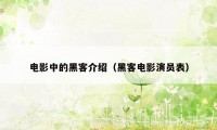 电影中的黑客介绍（黑客电影演员表）